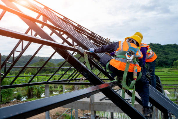 Best Metal Roofing Contractor  in Thatcher, UT