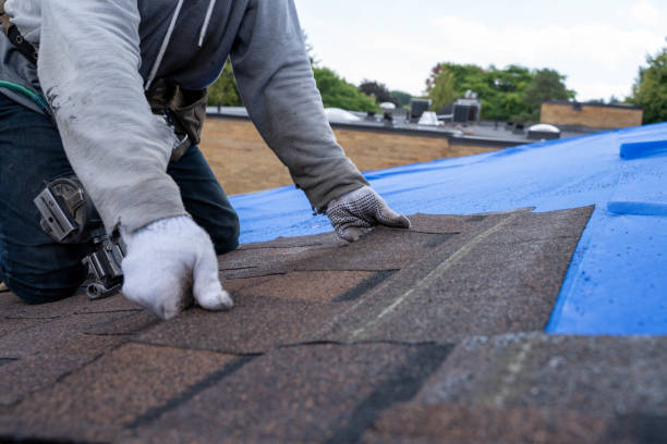 Best Emergency Roof Repair  in Thatcher, UT